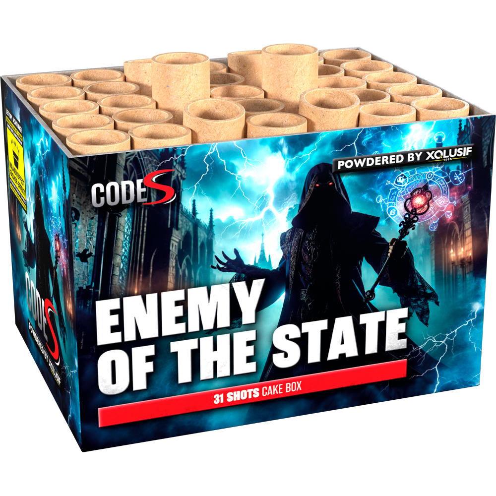 Enemy Of The State