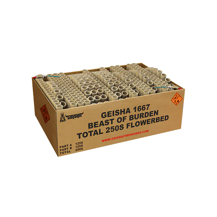 BEAST OF BURDEN 250'S DOUBLE COMPOUND