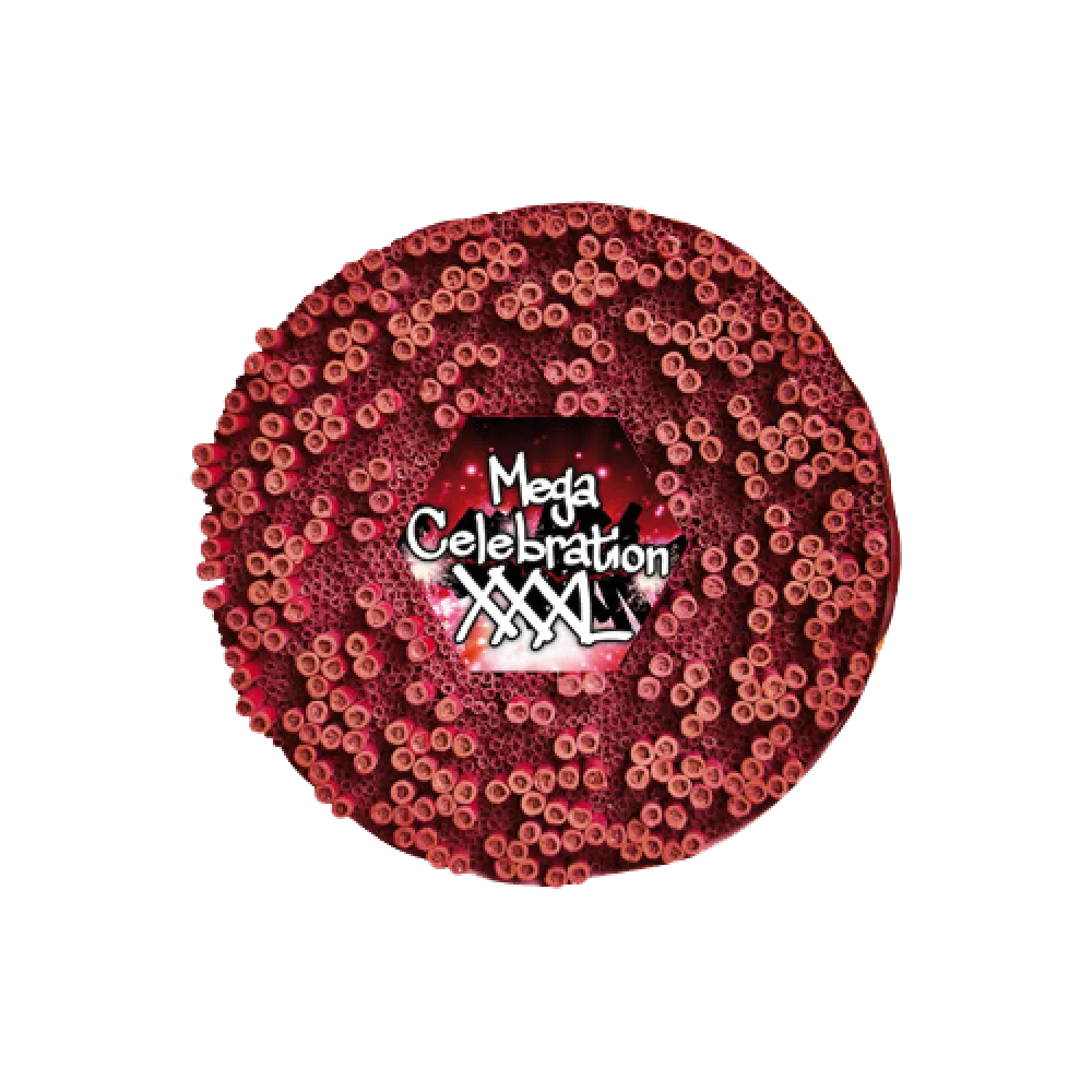 Mega Celebration XXXL Ratelband