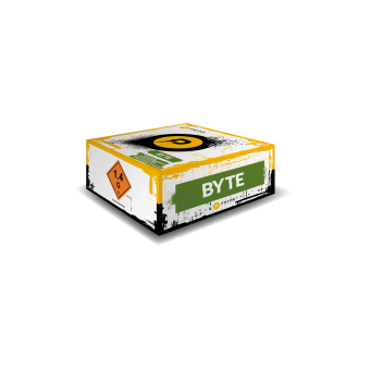 Byte